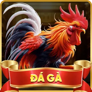 Tin tức Thể Thao