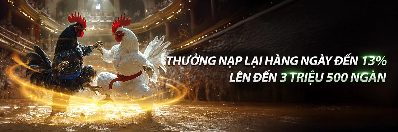 Đấu trường đá gà trực tuyến 36win uy tín